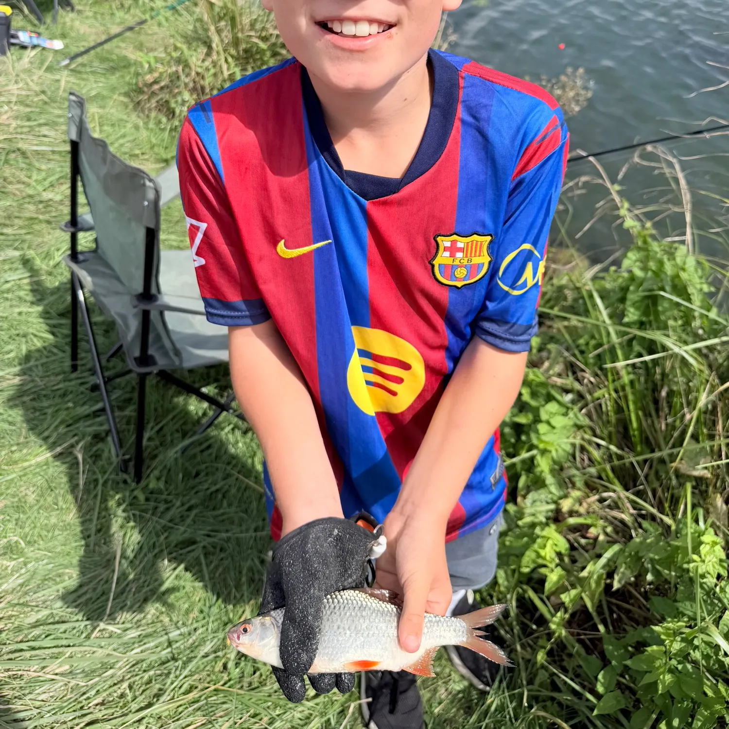 Common roach caught on Fishbrain