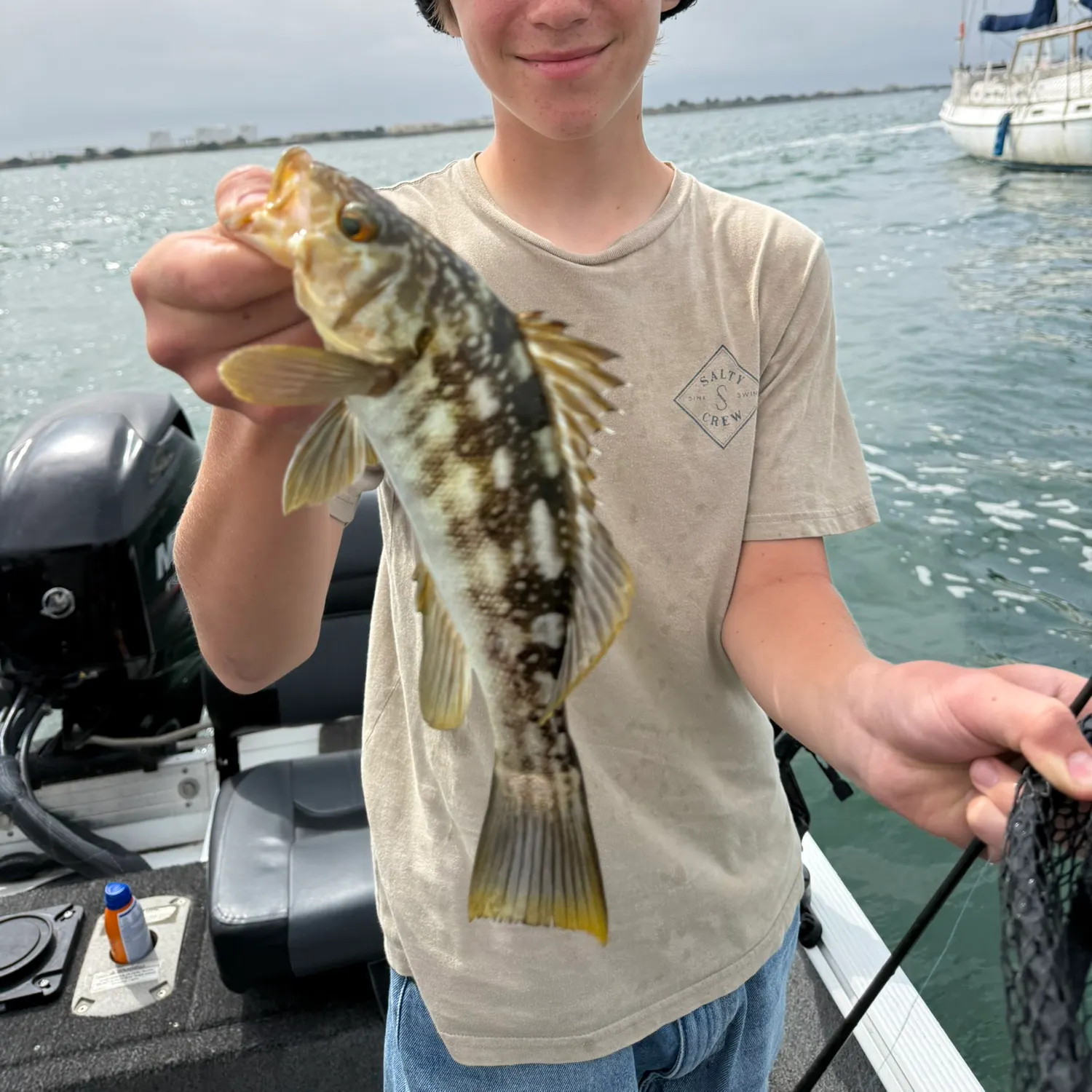 The most recent Kelp bass catches on Fishbrain