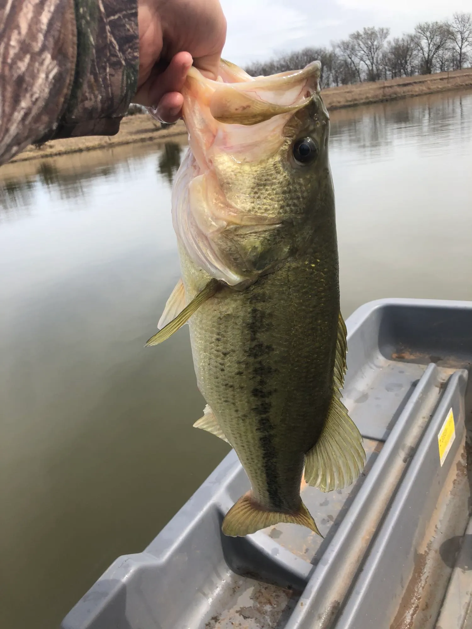 Post image from cbowman9076