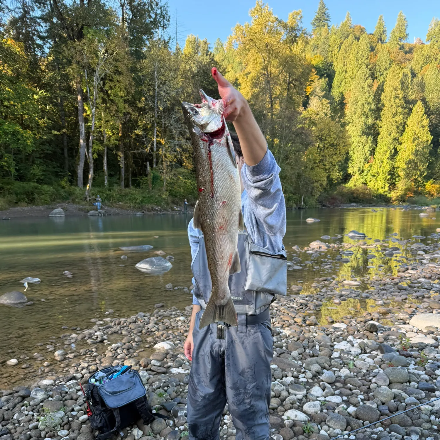 Coho salmon caught on Fishbrain