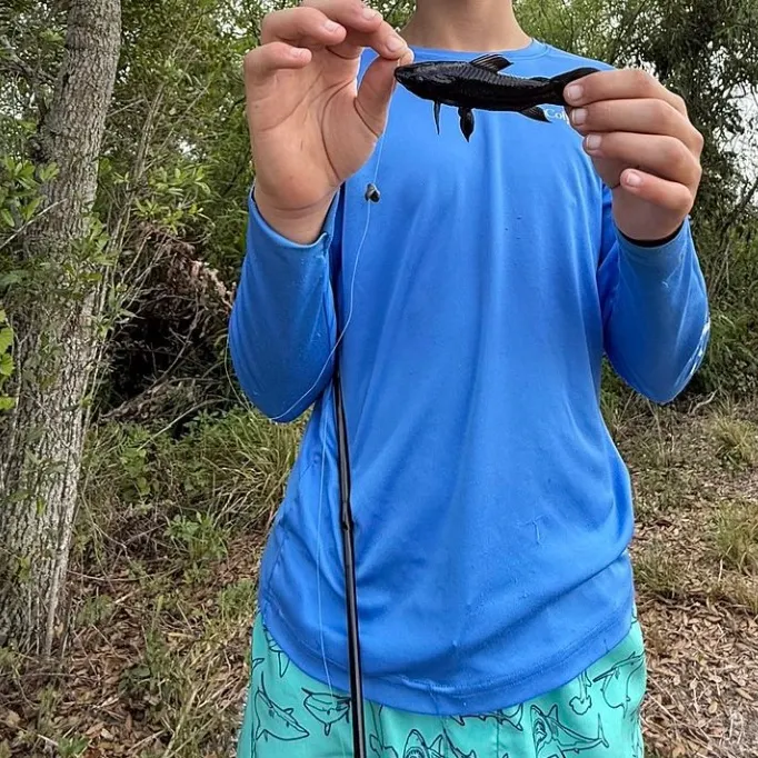 The most recent Brown Hoplo catches on Fishbrain