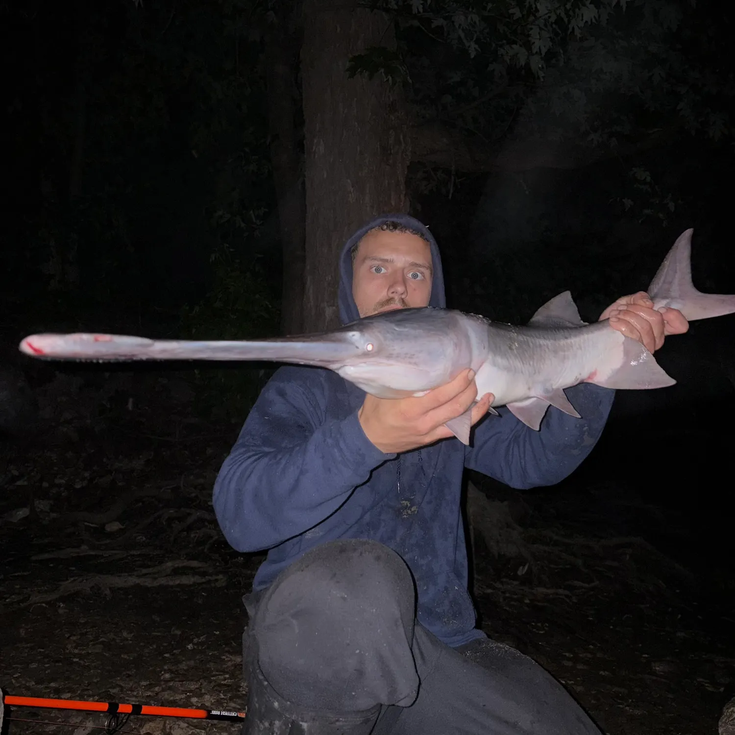 The most recent Paddlefish catches on Fishbrain