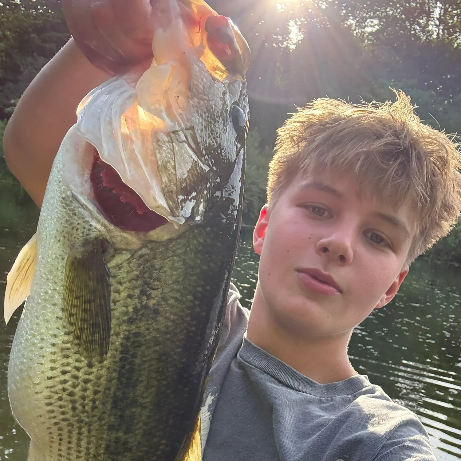 Largemouth bass caught on Fishbrain
