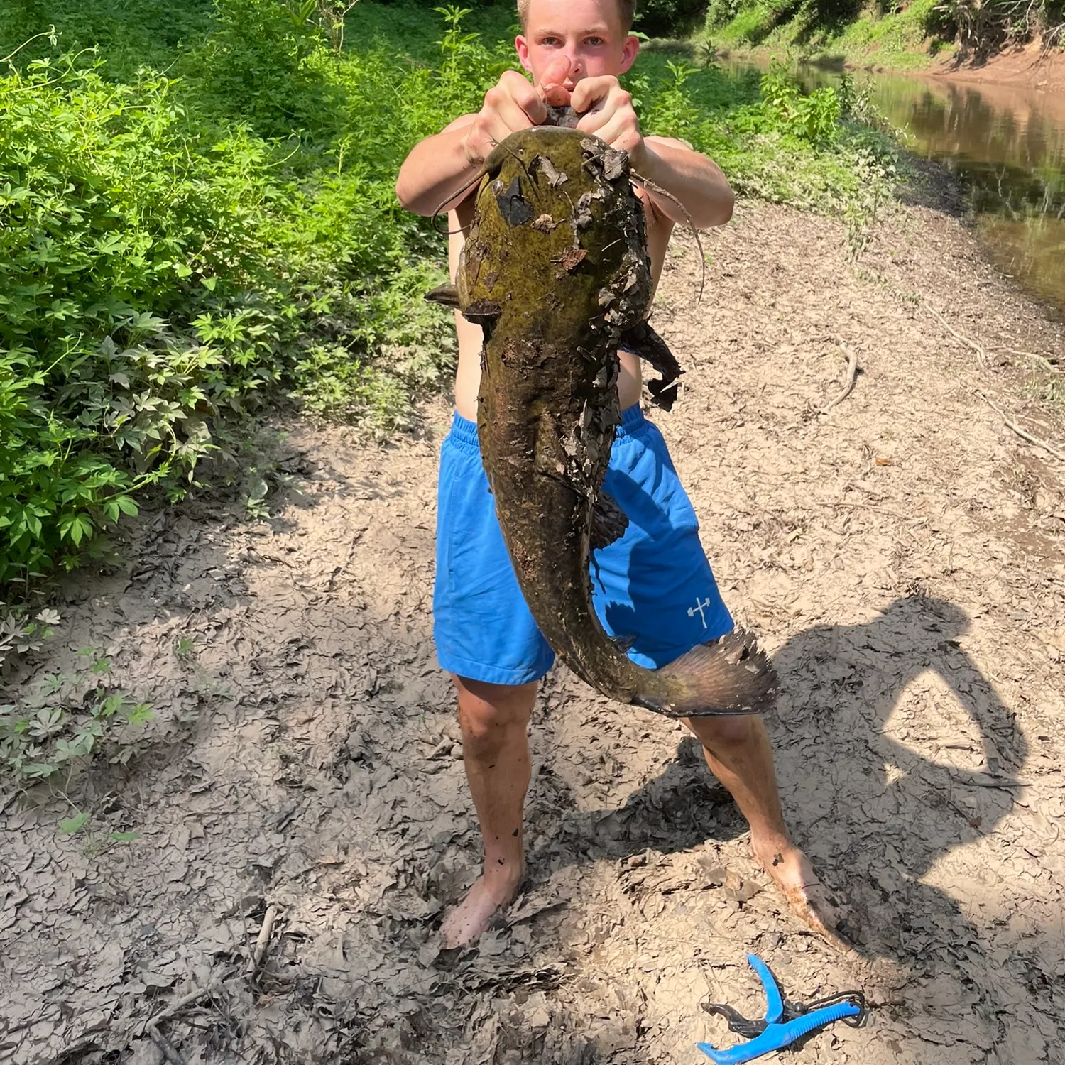 most liked catch image