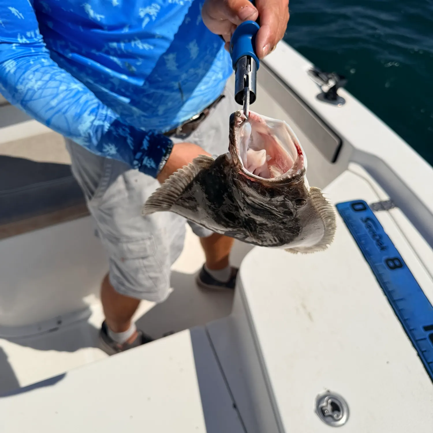 Summer flounder caught on Fishbrain
