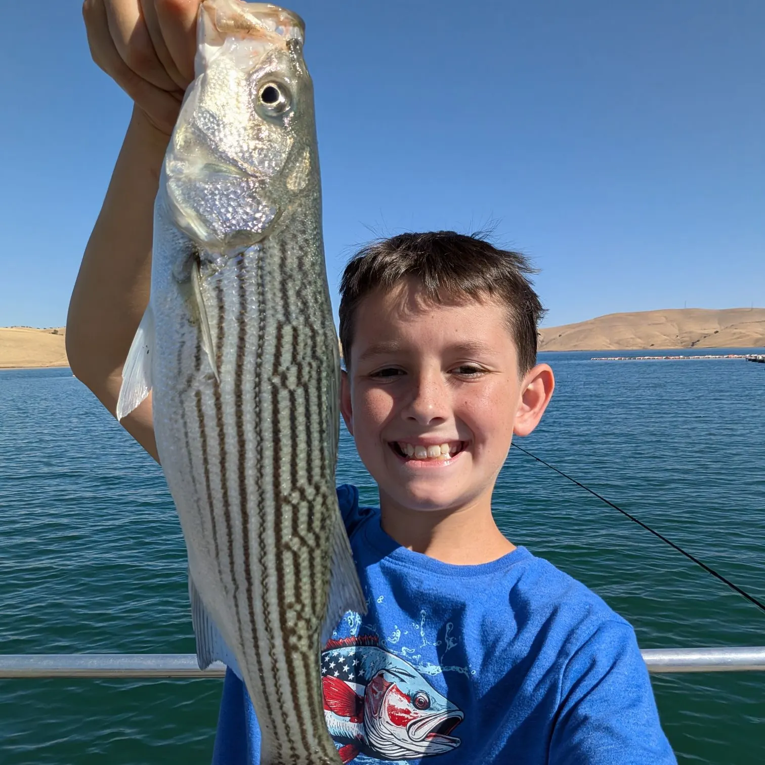 Striped bass caught on Fishbrain