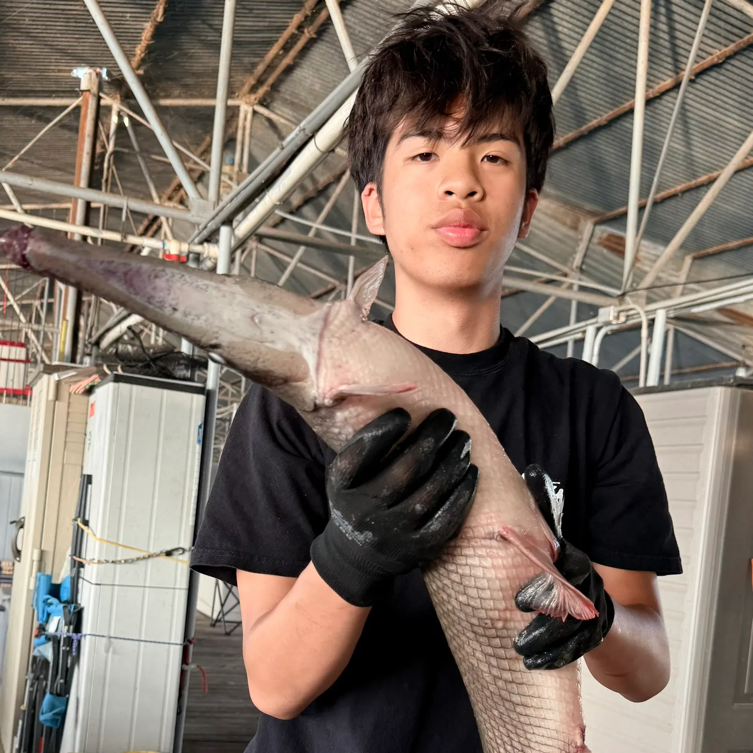 The most recent Alligator gar catches on Fishbrain
