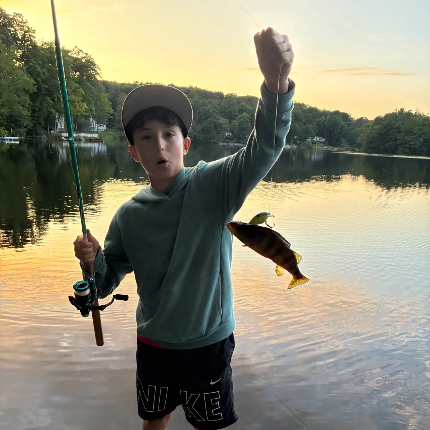 Yellow perch caught on Fishbrain