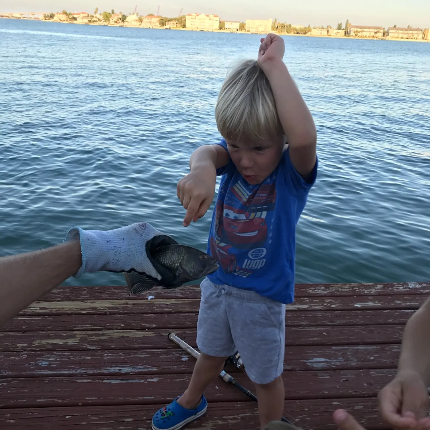 The most recent Jordan's snapper catches on Fishbrain