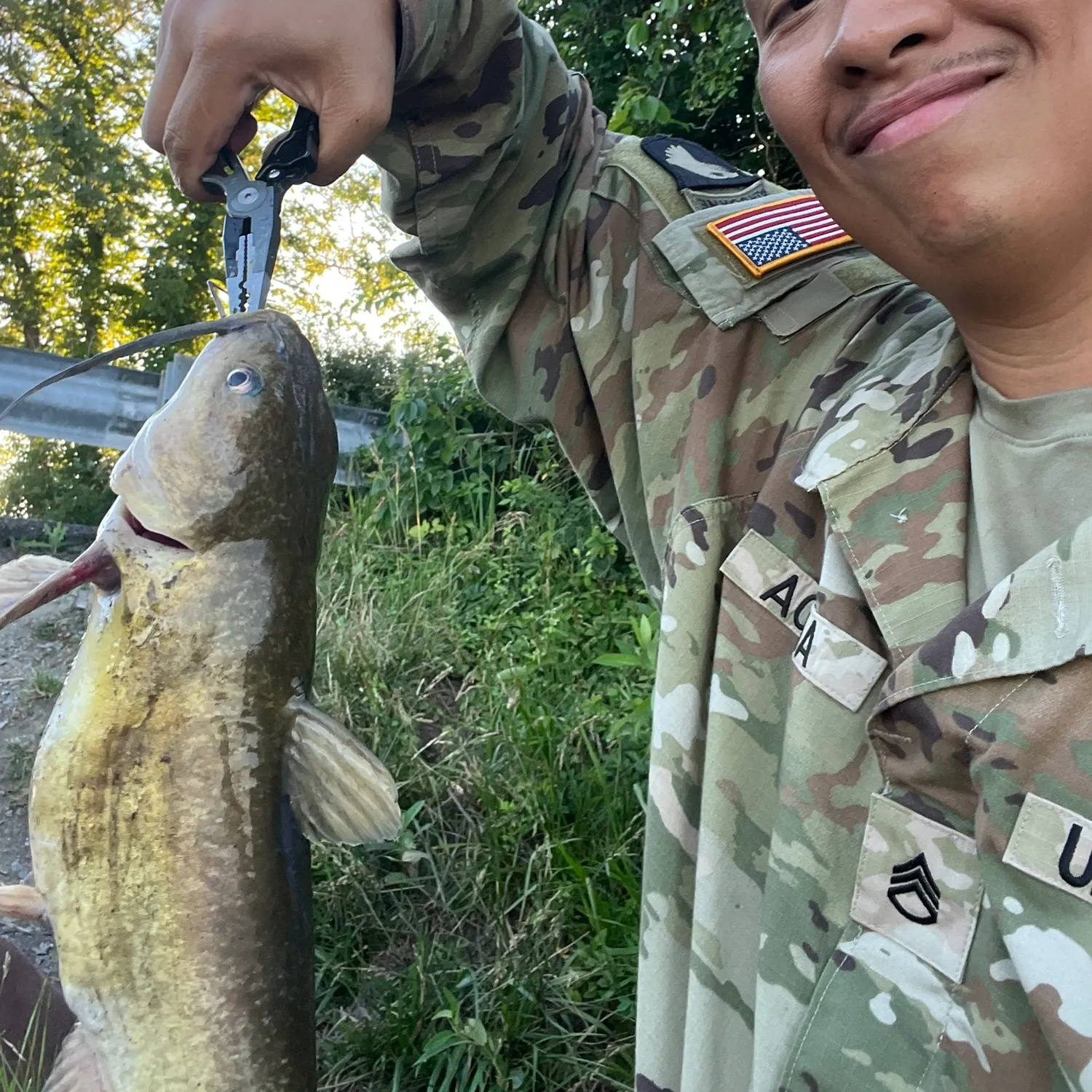 Blue catfish caught on Fishbrain