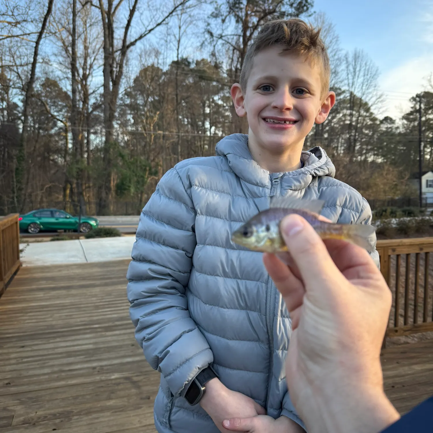 The most recent Redear sunfish catches on Fishbrain