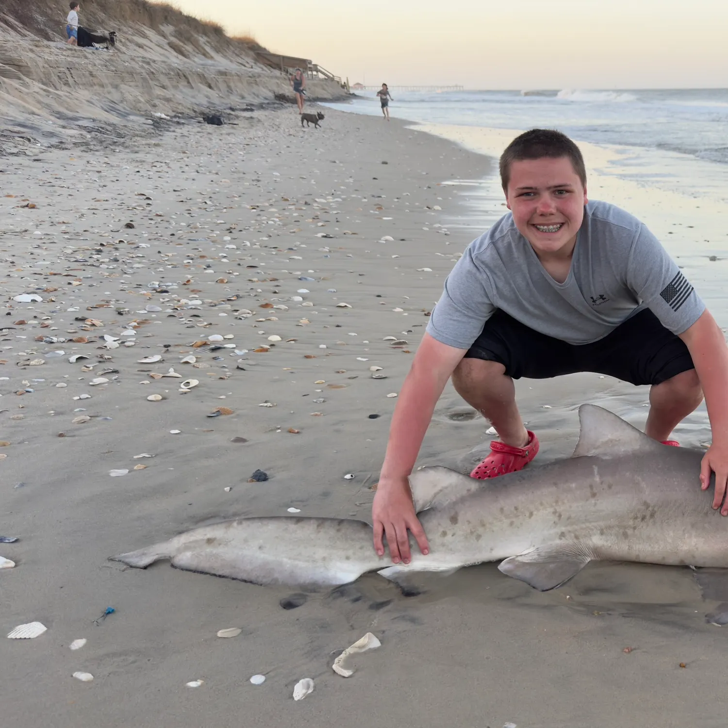 The most recent Sand tiger shark catches on Fishbrain