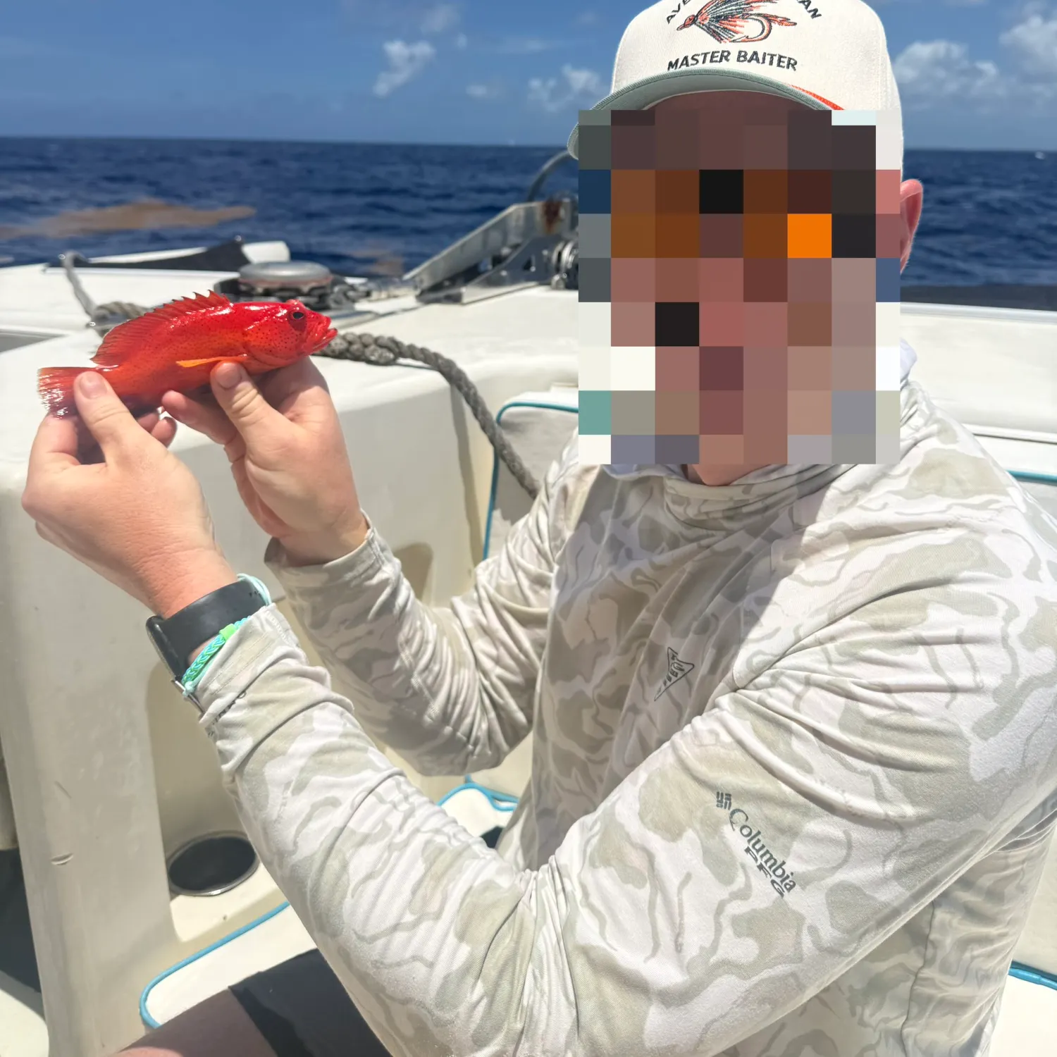 The most recent Coney grouper catches on Fishbrain