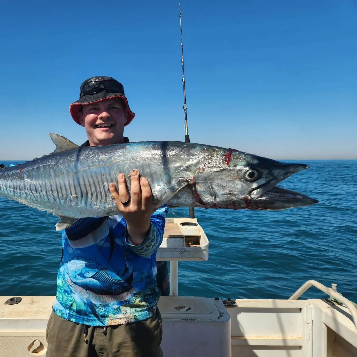 The most recent Narrow-barred Spanish mackerel catches on Fishbrain