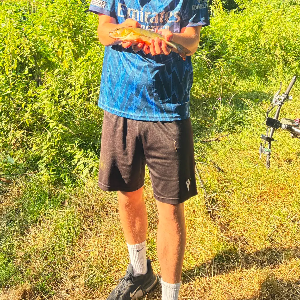 European perch caught on Fishbrain