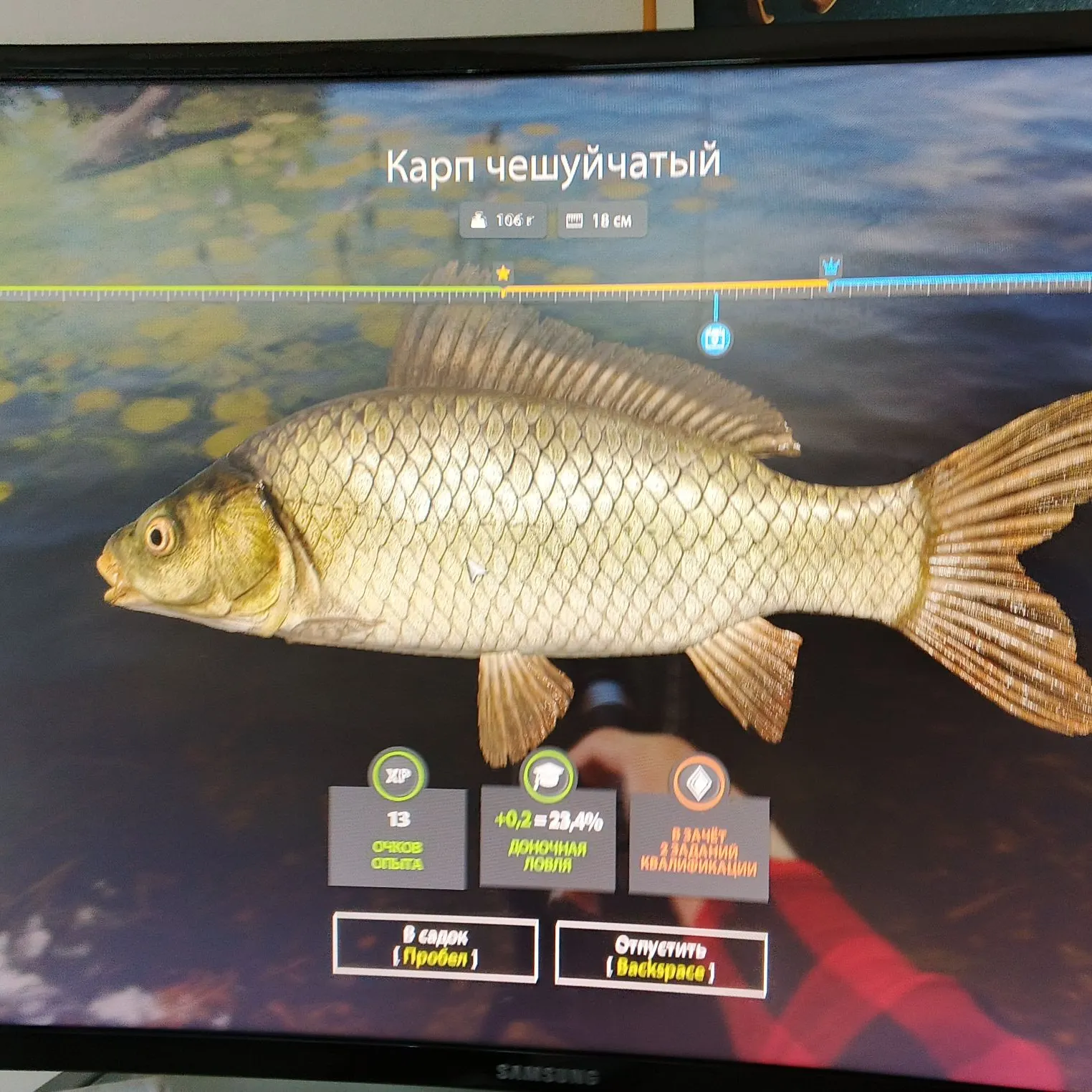 recently logged catches