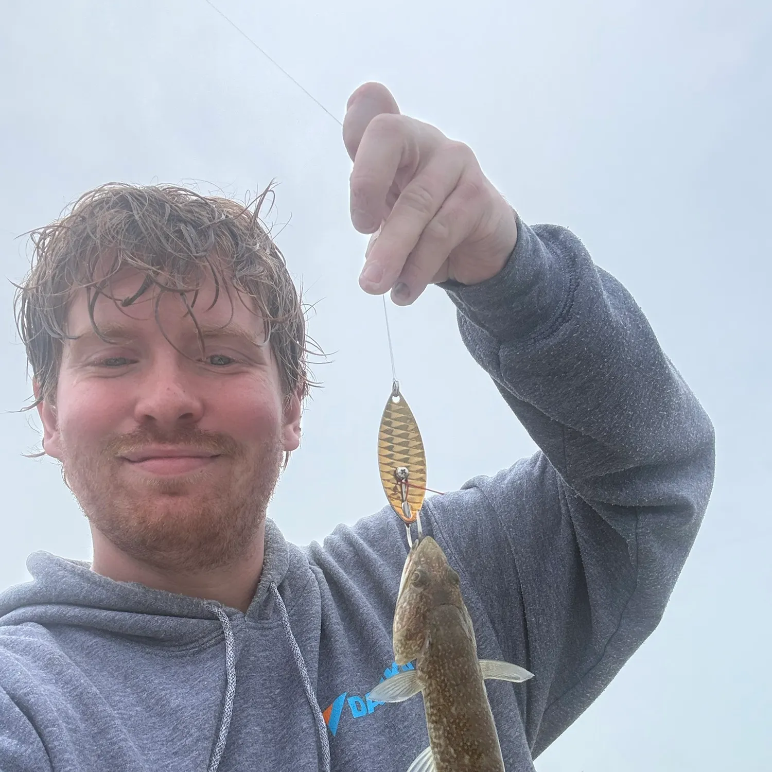 Inshore lizardfish caught on Fishbrain