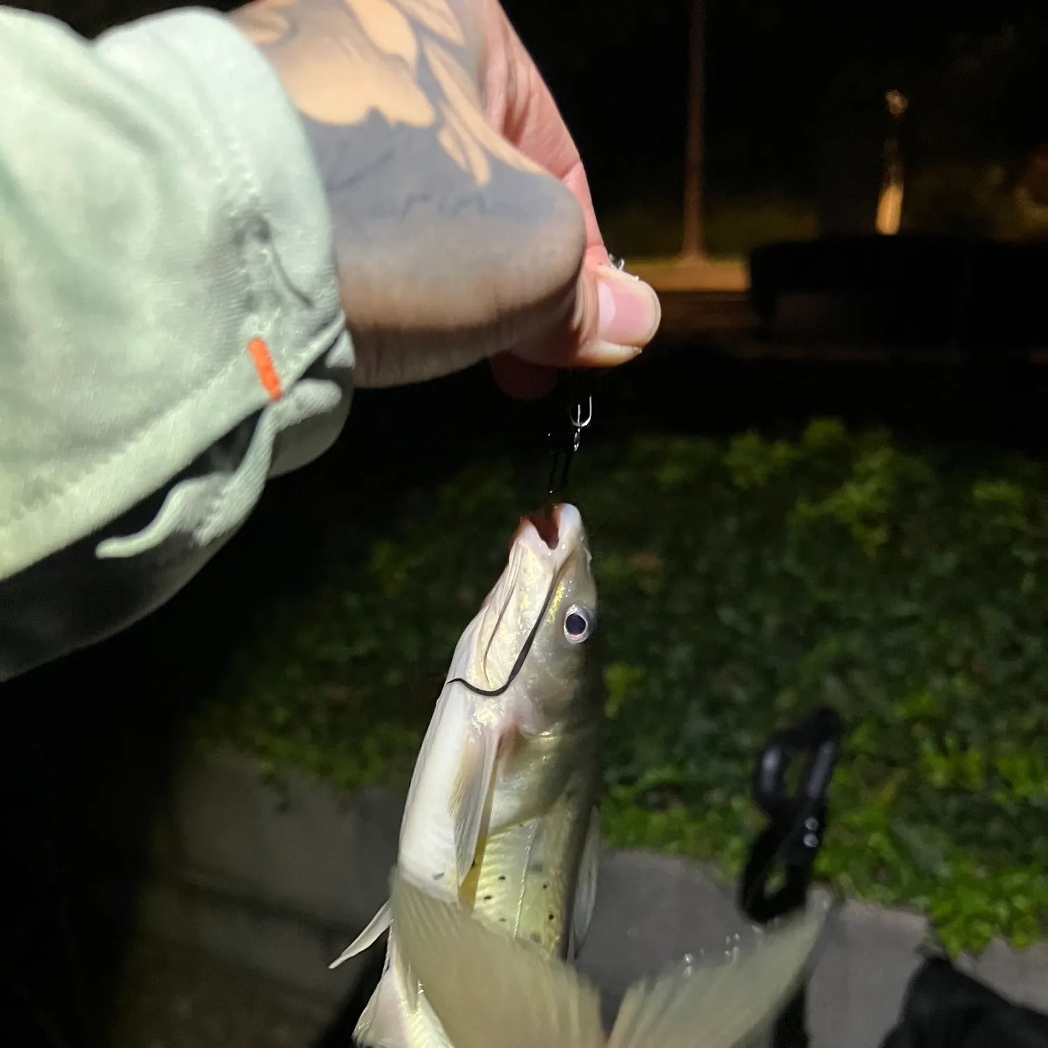 catch