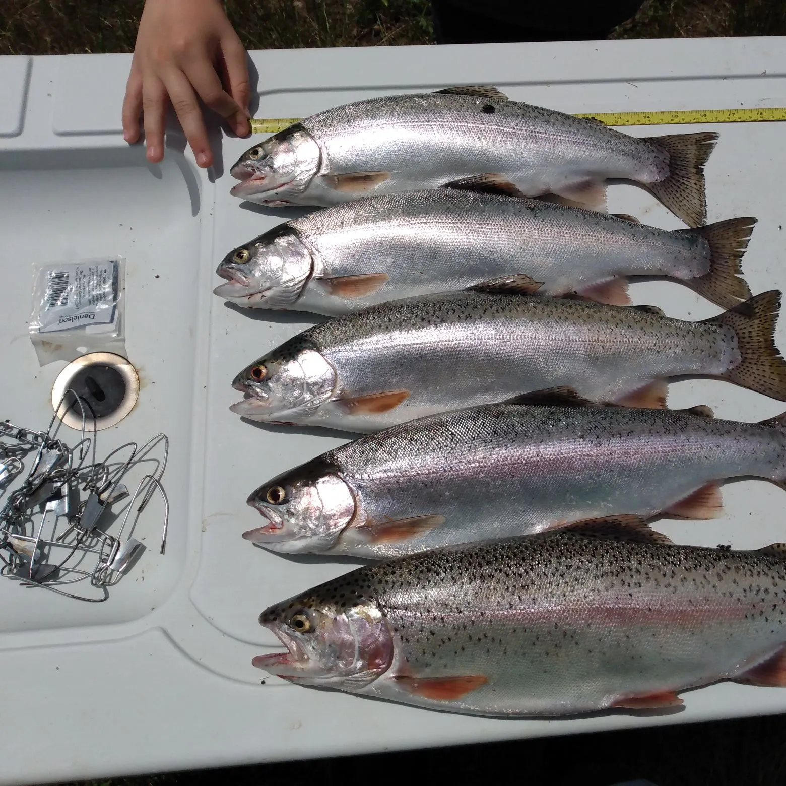 recently logged catches