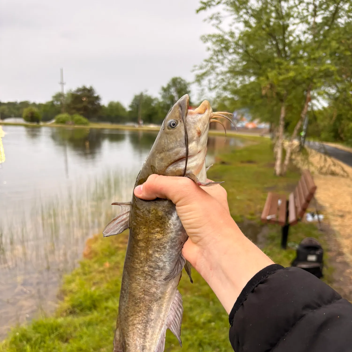 catch