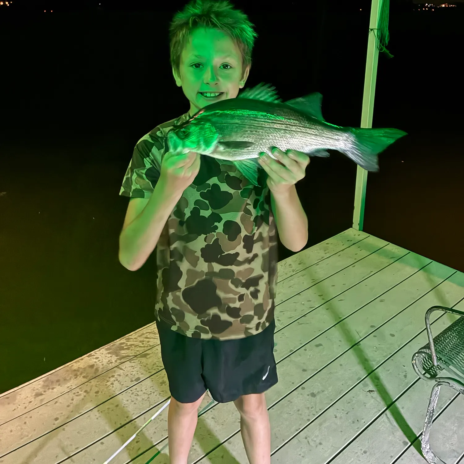 White bass caught on Fishbrain