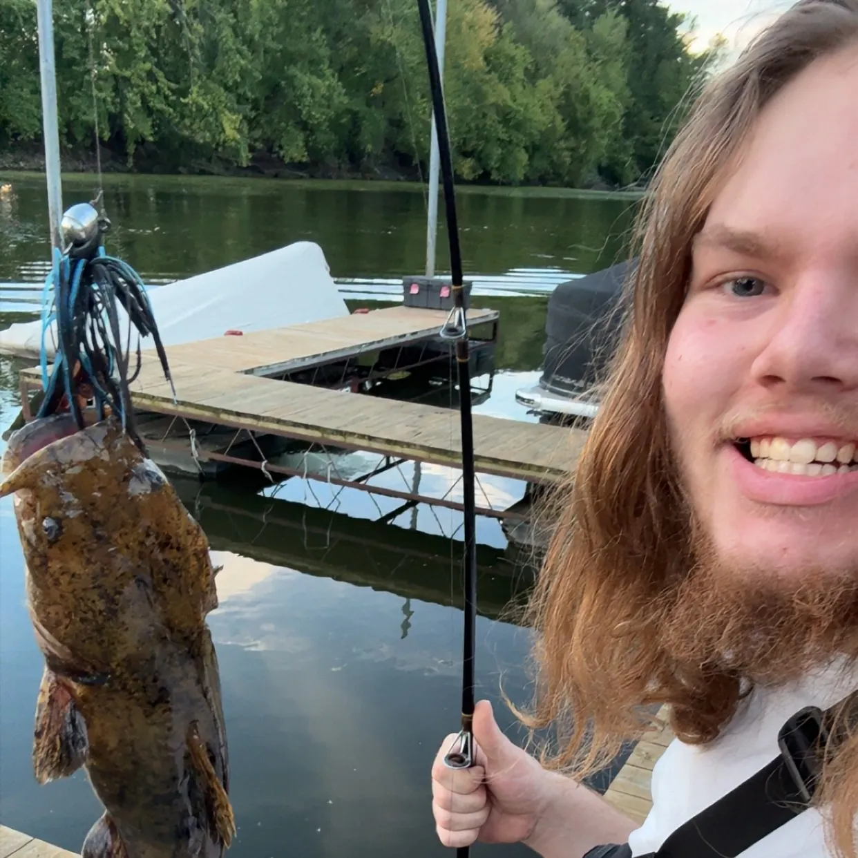 Flathead catfish caught on Fishbrain
