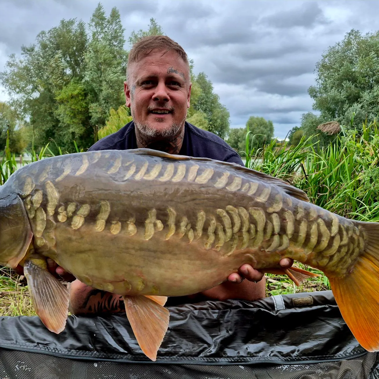 Mirror carp caught on Fishbrain