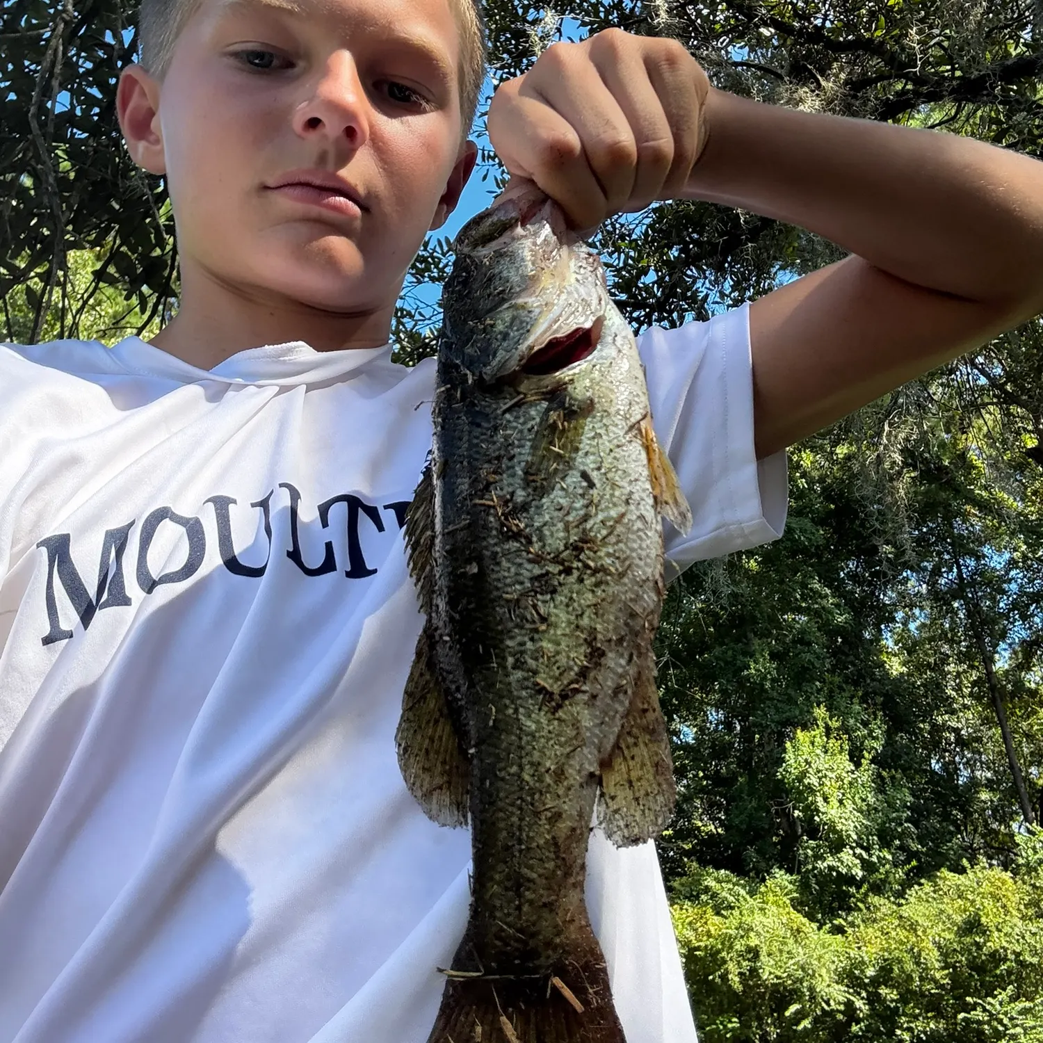 Fish caught on Fishbrain