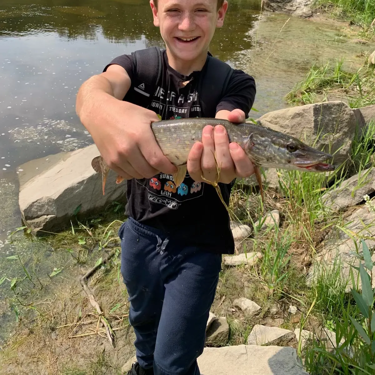 Northern pike caught on Fishbrain