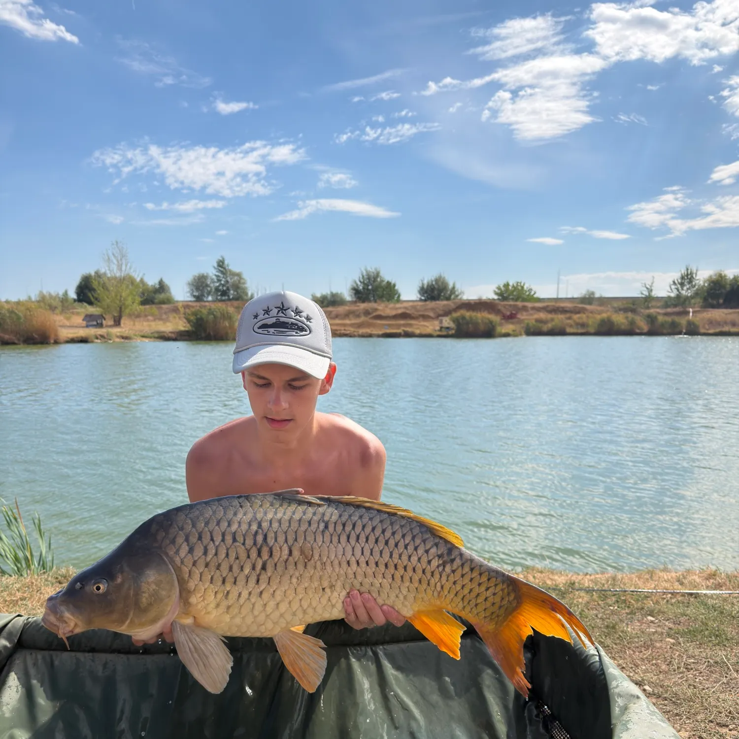 Common carp caught on Fishbrain