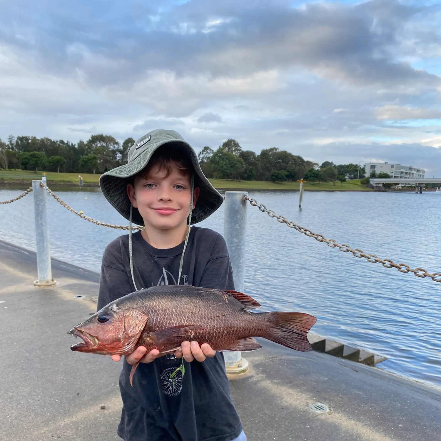 The most recent Mangrove red snapper catches on Fishbrain