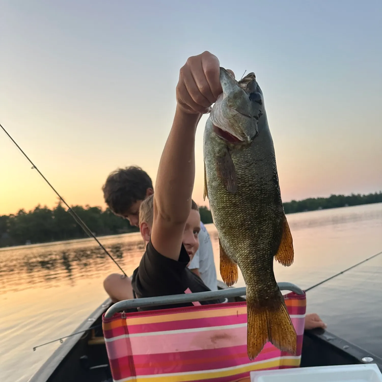 Smallmouth bass caught on Fishbrain