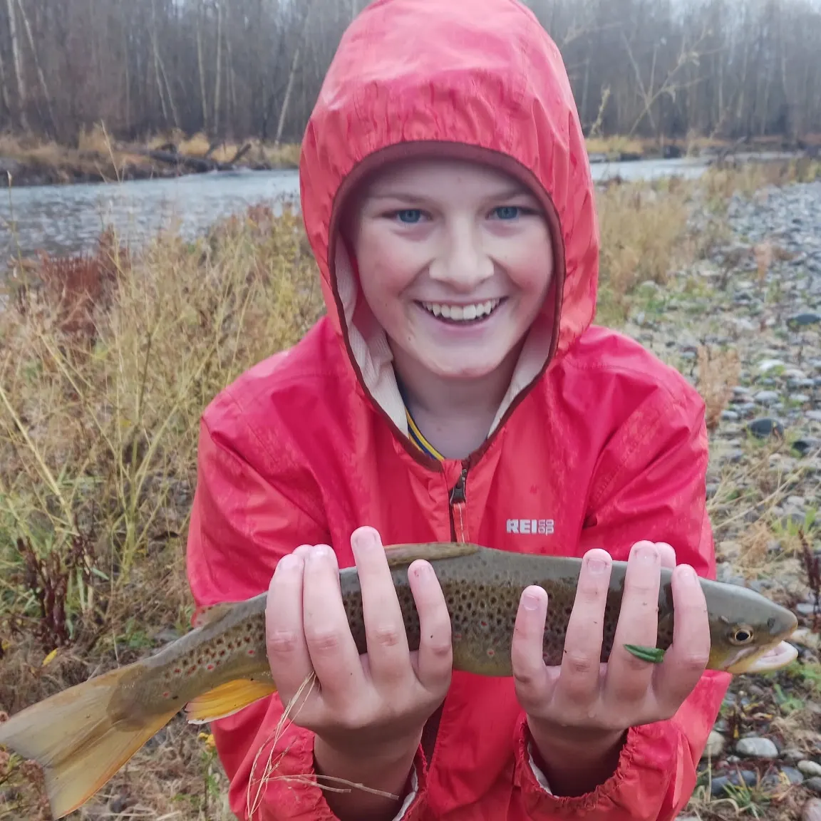 Brown trout caught on Fishbrain