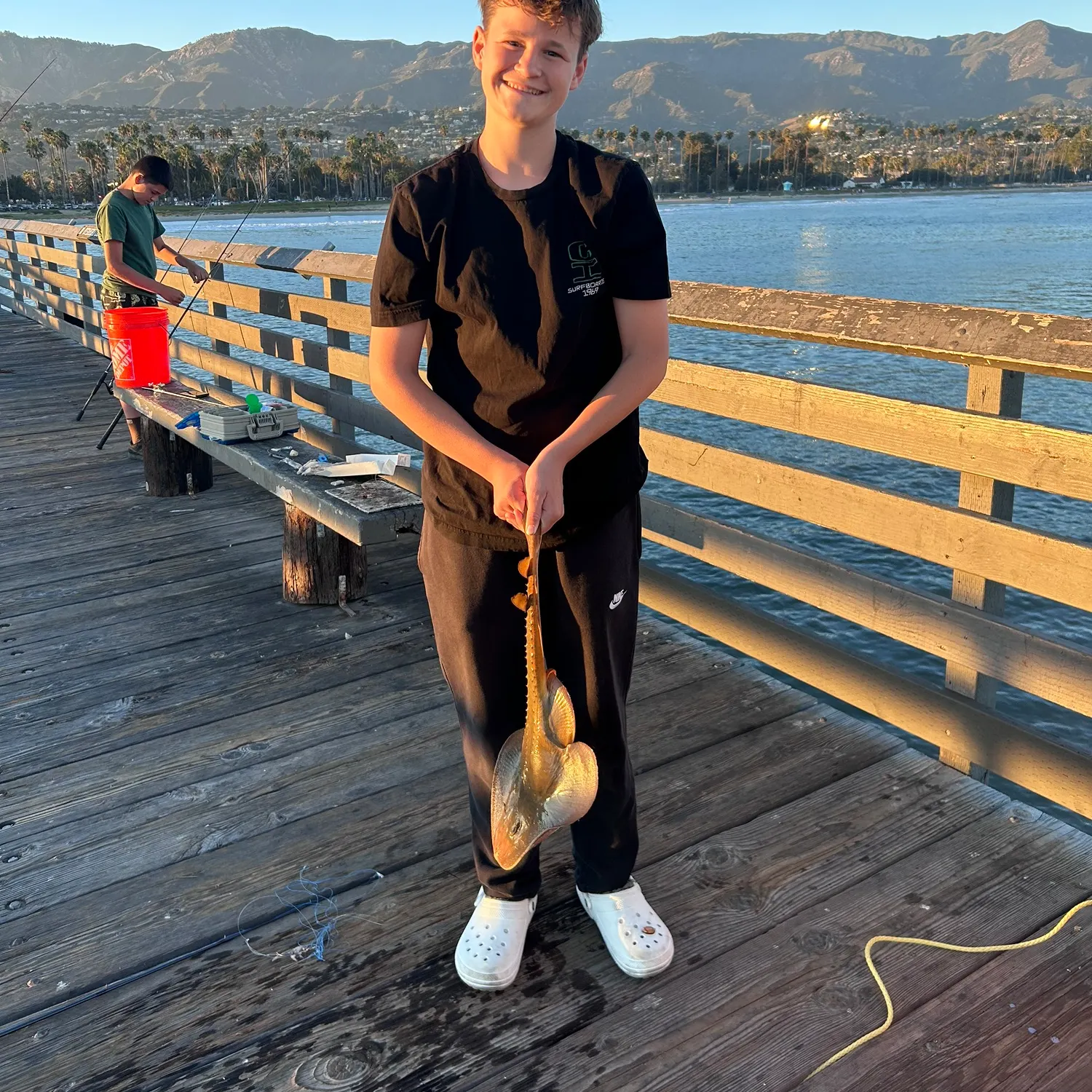 Thornback ray caught on Fishbrain