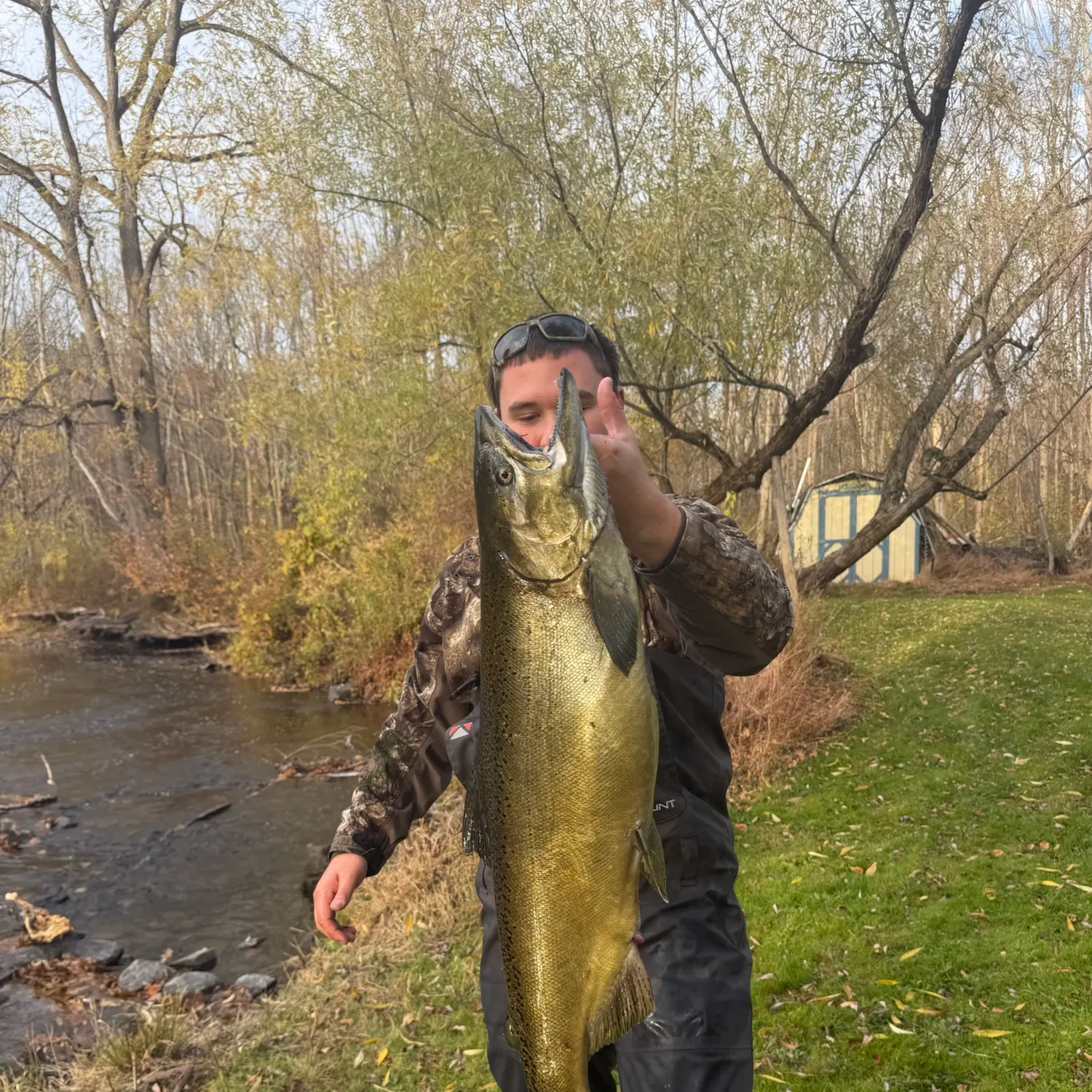 Chinook salmon caught on Fishbrain