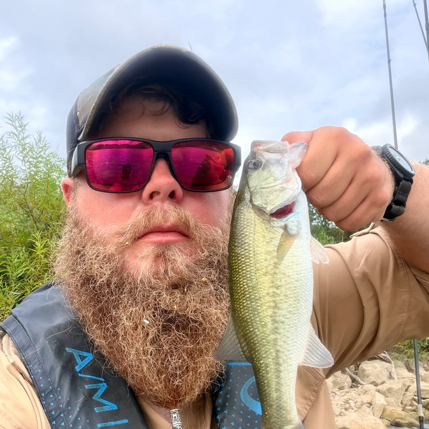 Largemouth bass caught on Fishbrain