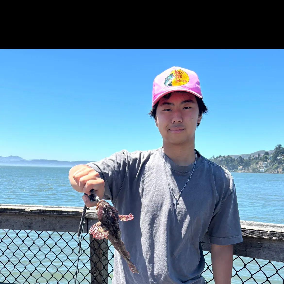 The most recent California scorpionfish catches on Fishbrain