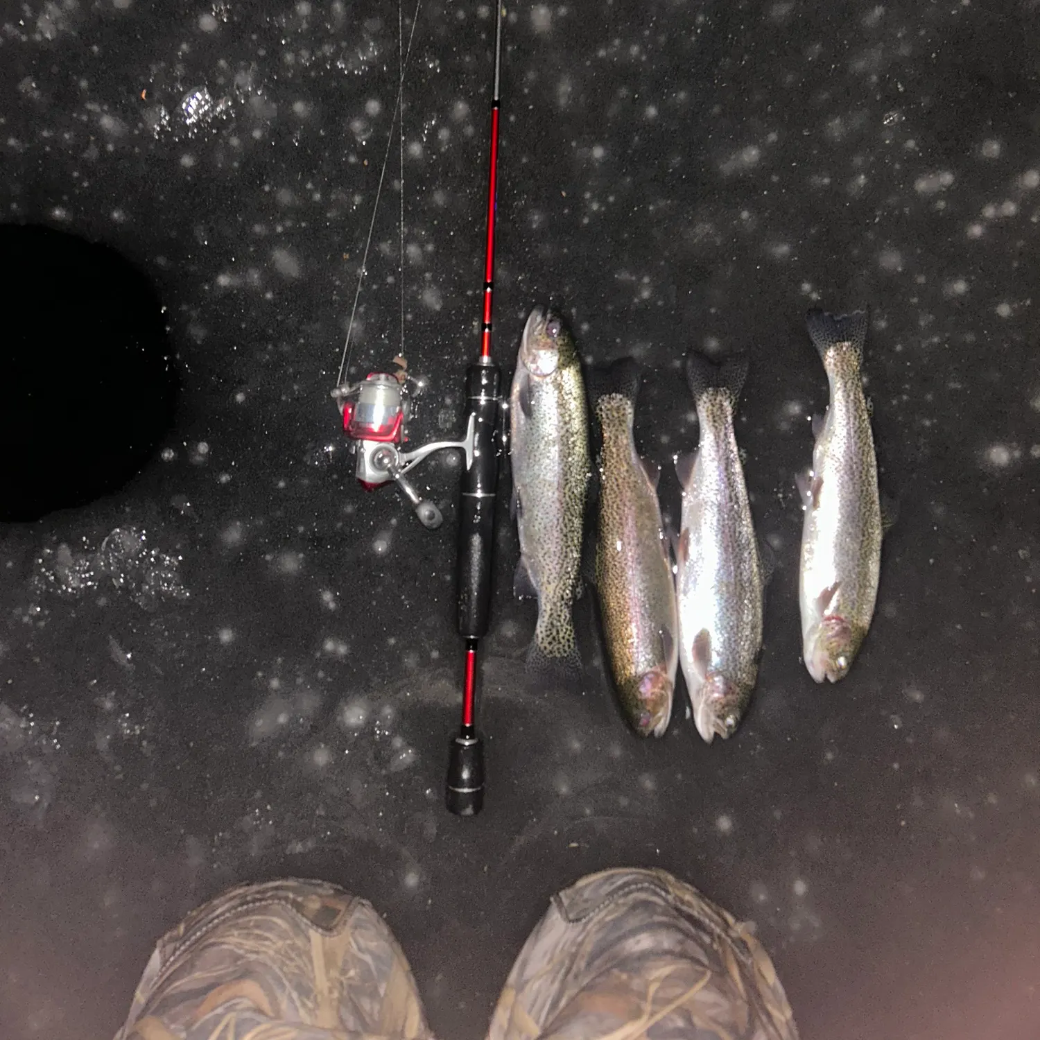 recently logged catches