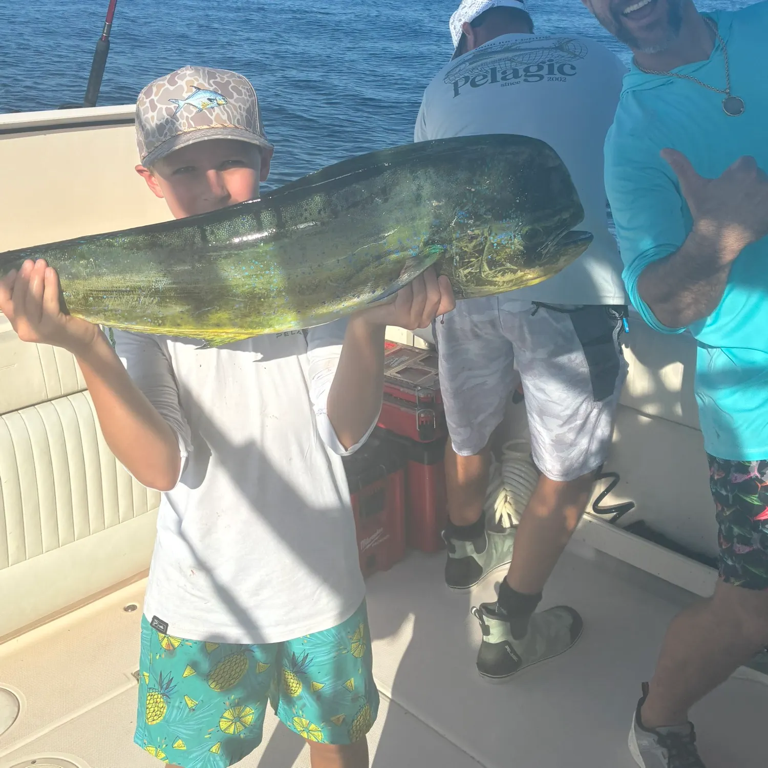 Common dolphinfish caught on Fishbrain