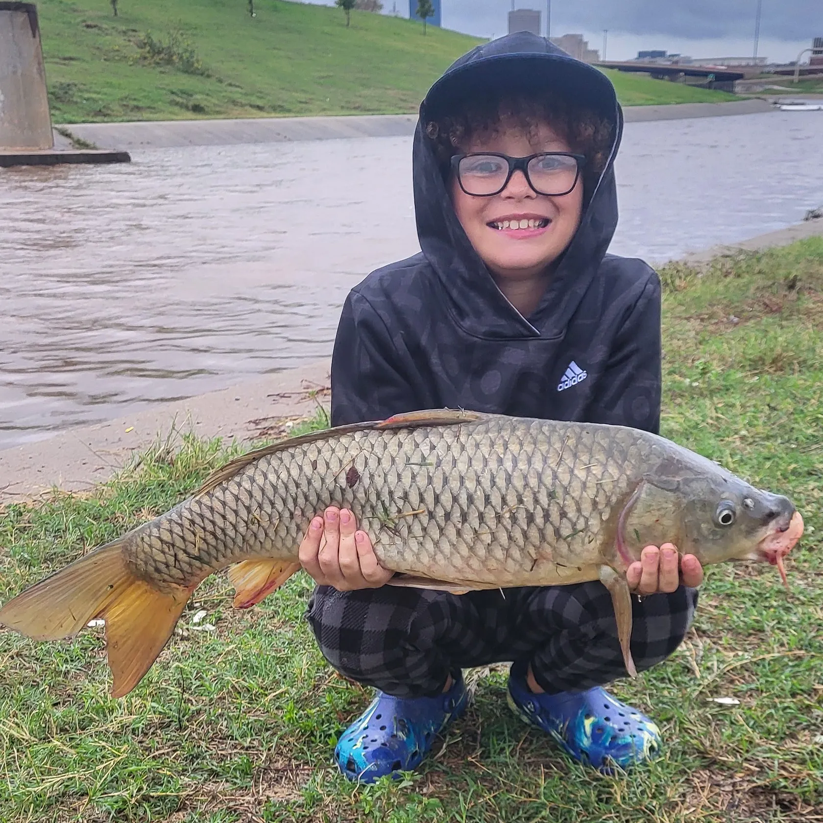 Common carp caught on Fishbrain