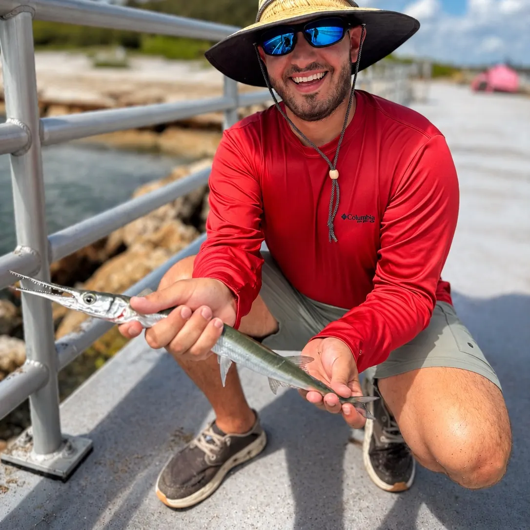 The most recent Atlantic needlefish catches on Fishbrain