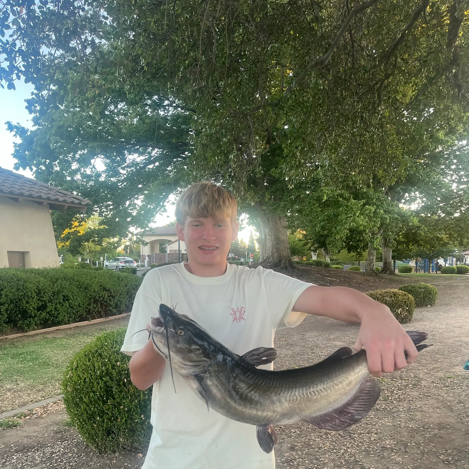 Channel catfish caught on Fishbrain