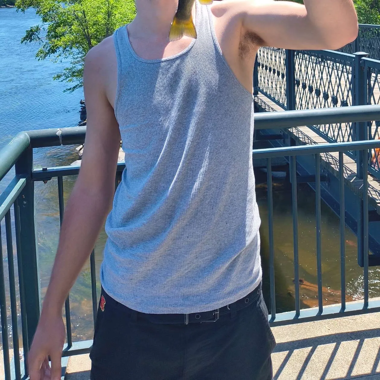 Smallmouth bass caught on Fishbrain