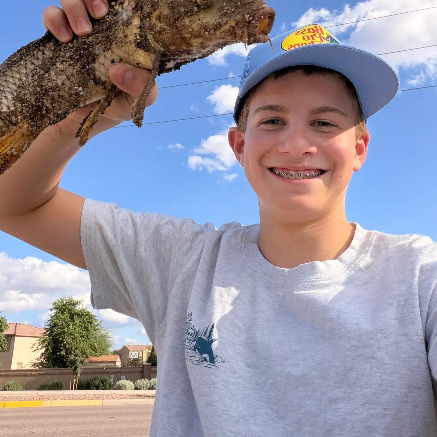 Common carp caught on Fishbrain
