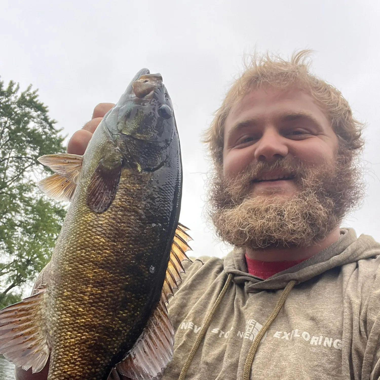Smallmouth bass caught on Fishbrain