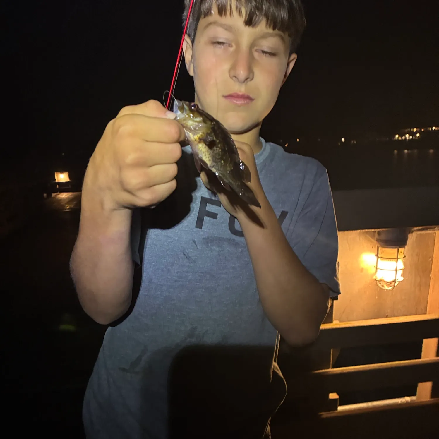 The most recent Grass rockfish catches on Fishbrain