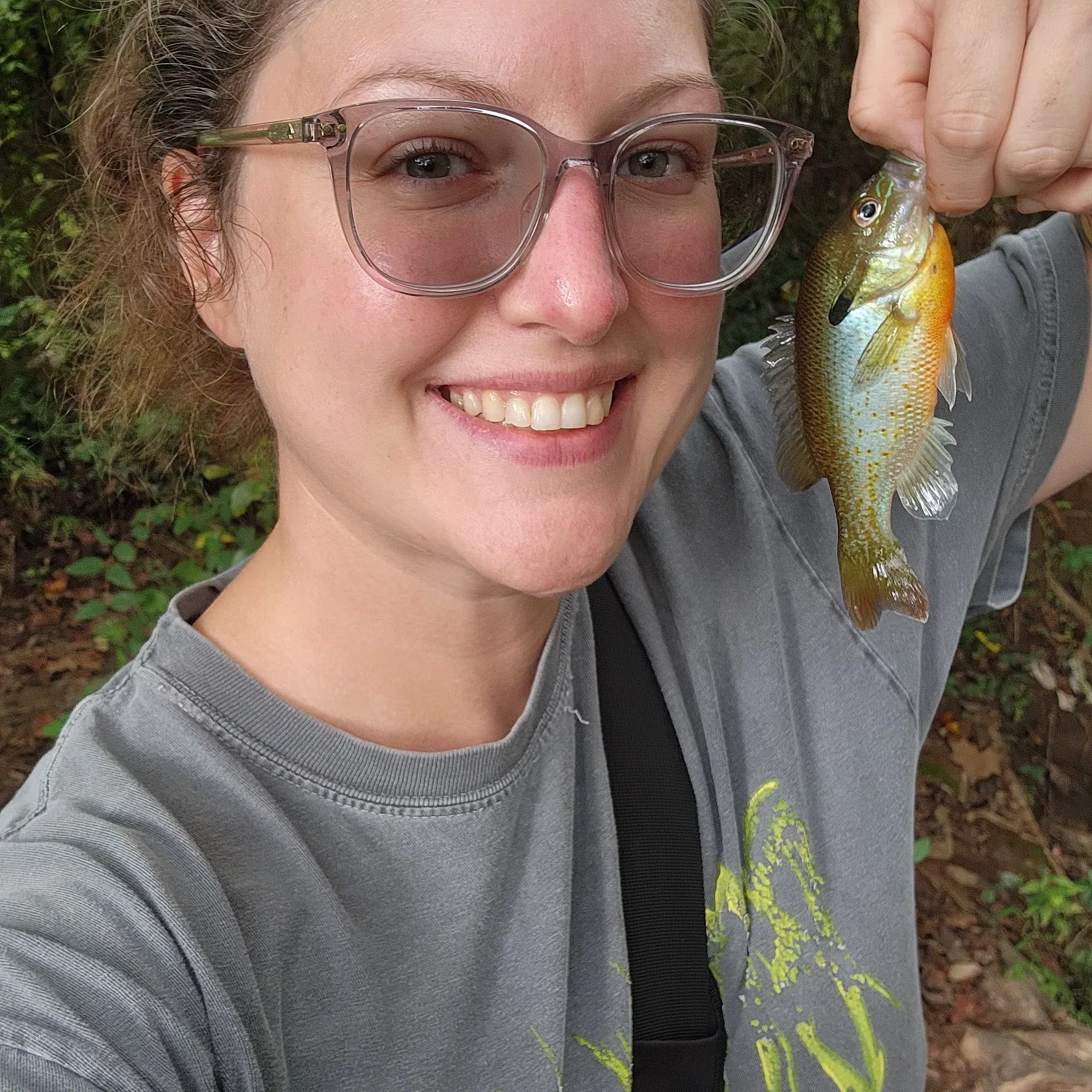 Redbreast sunfish caught on Fishbrain
