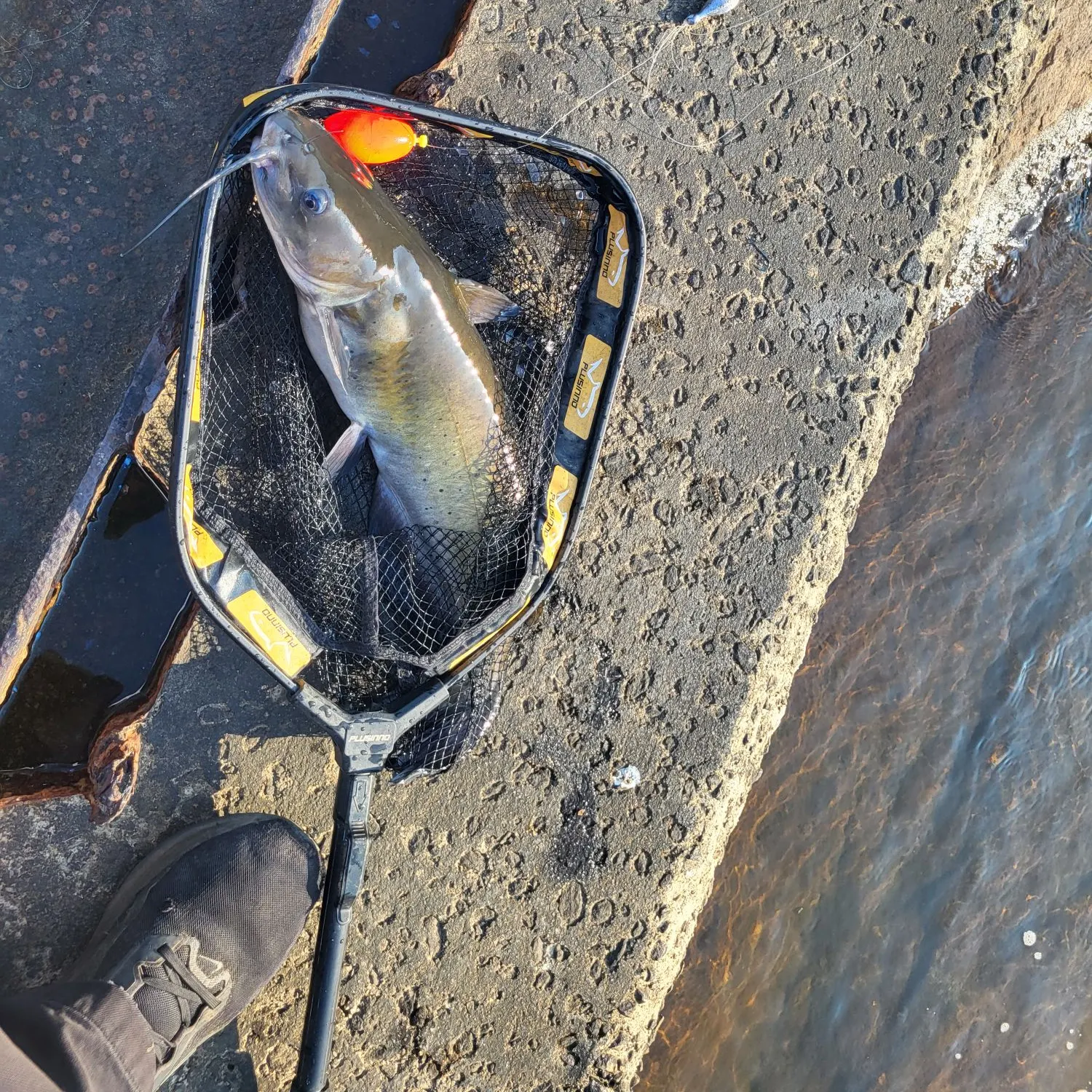 catch