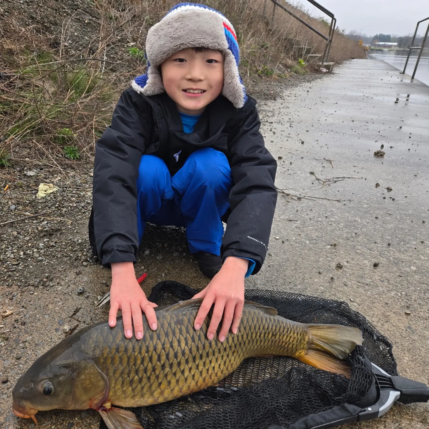 Common carp caught on Fishbrain