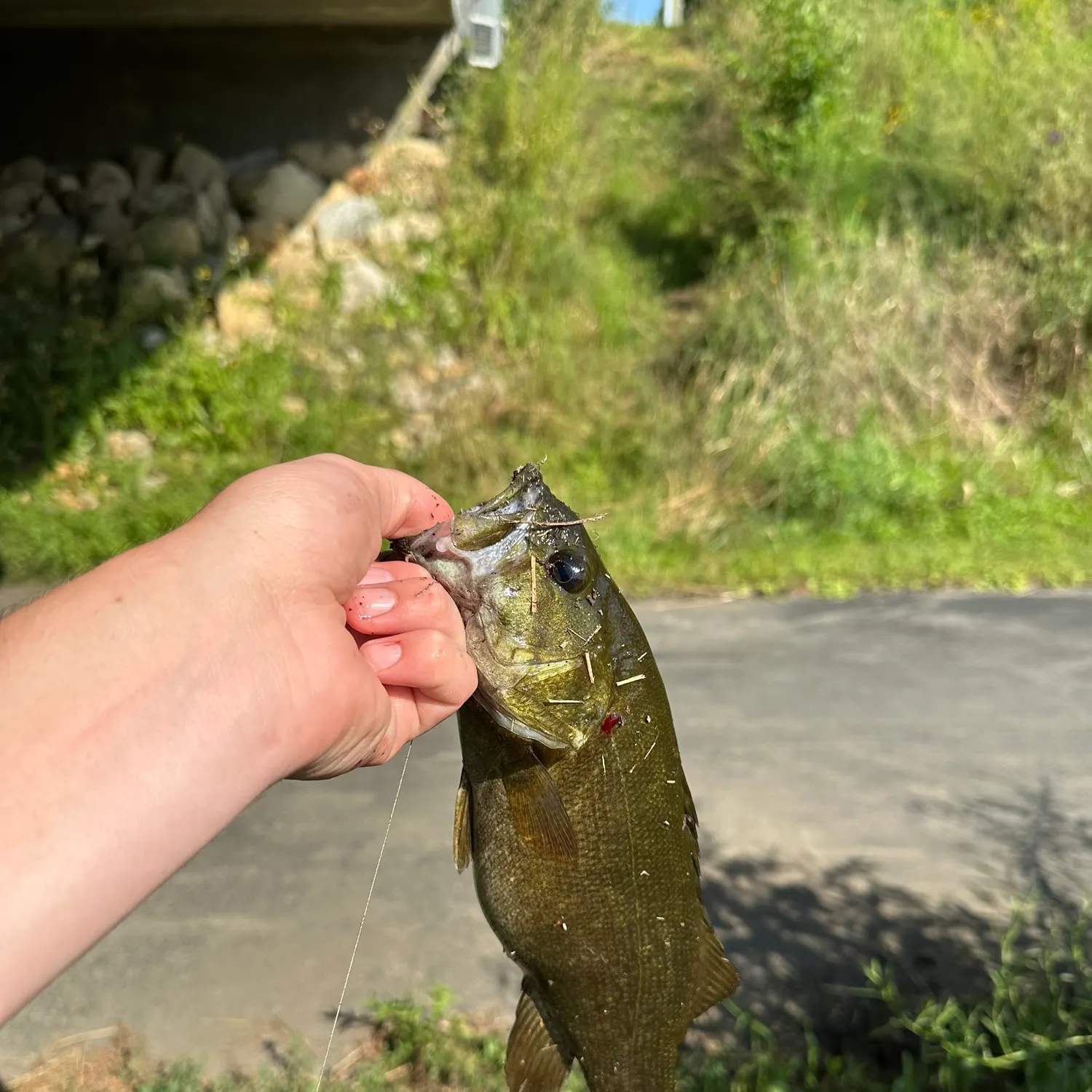 catch